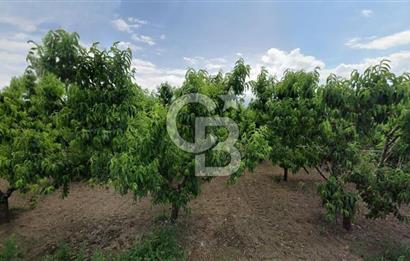 ASFALT YOLA CEPHE KÖYE YAKIN YATIRIM DEĞERİ YÜKSEK ARAZİ