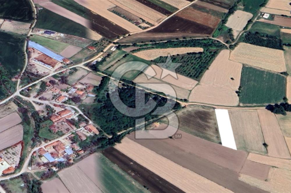 Kırklareli Merkez Koyunbaba Satılık 1.633 M2 Arazi
