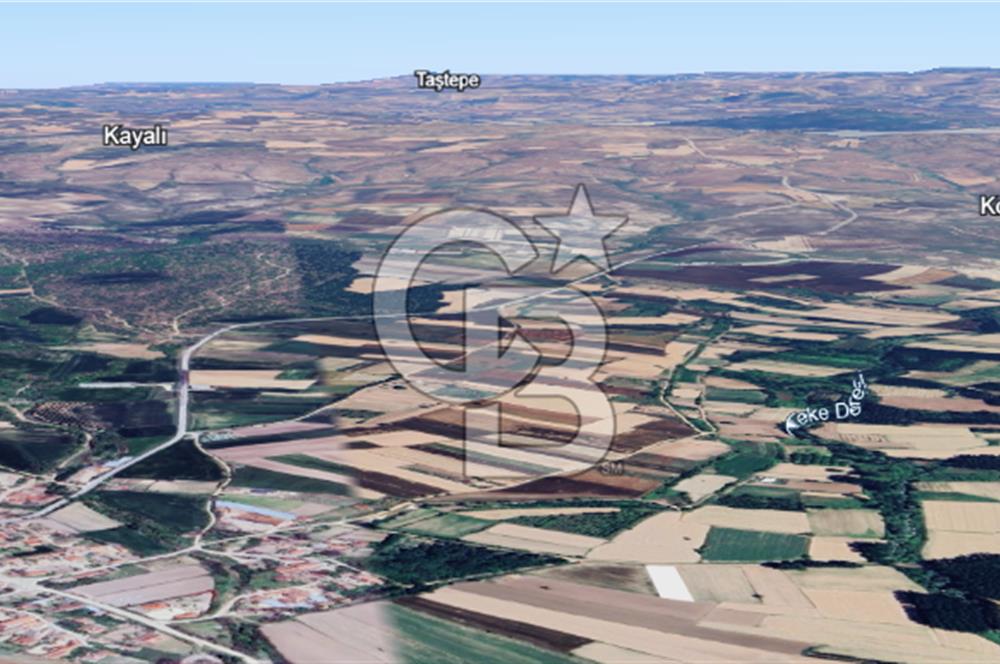 Kırklareli Merkez Koyunbaba Satılık 1.633 M2 Arazi