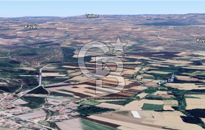 Kırklareli Merkez Koyunbaba Satılık 1.633 M2 Arazi