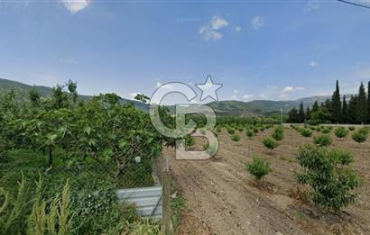 ASFALT YOLA CEPHE KÖYE YAKIN YATIRIM DEĞERİ YÜKSEK ARAZİ