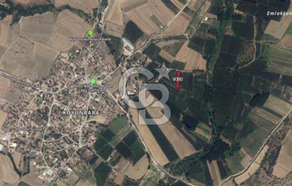 Kırklareli Merkez Koyunbaba Satılık 1.633 M2 Arazi