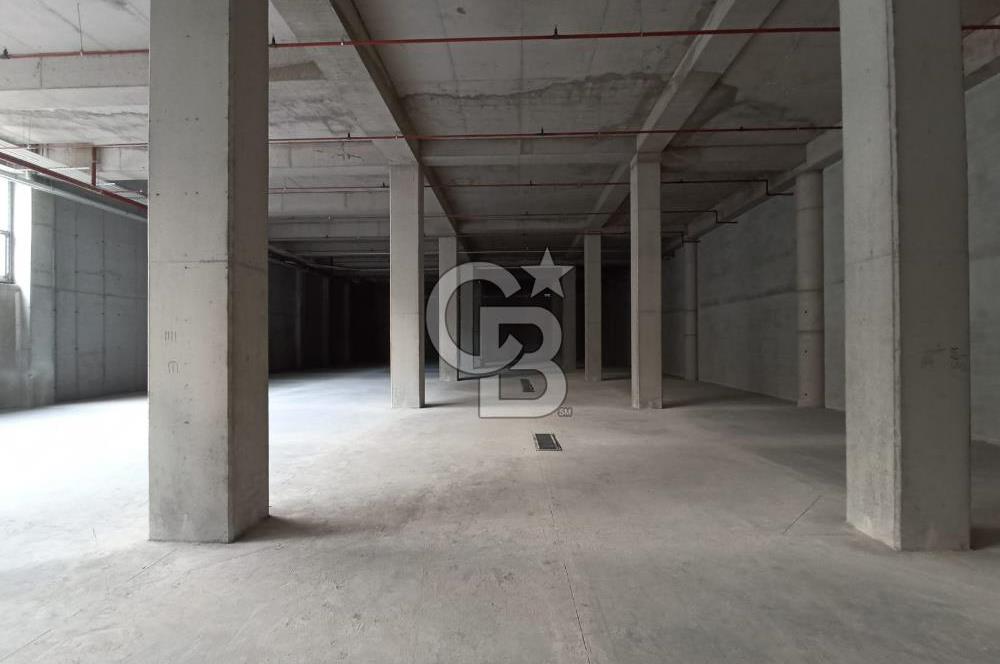 ŞAŞMAZ'DA 1024 M2 HER İŞE UYGUN FIRSAT DÜKKAN