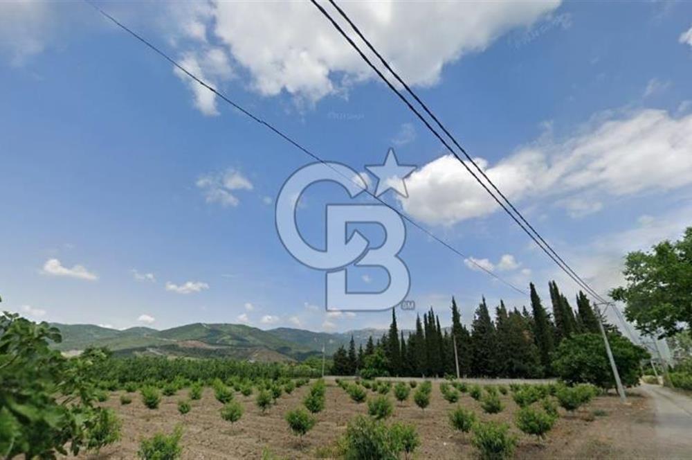 ASFALT YOLA CEPHE KÖYE YAKIN YATIRIM DEĞERİ YÜKSEK ARAZİ