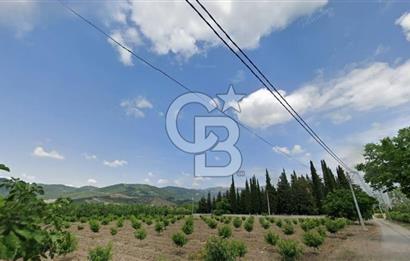ASFALT YOLA CEPHE KÖYE YAKIN YATIRIM DEĞERİ YÜKSEK ARAZİ
