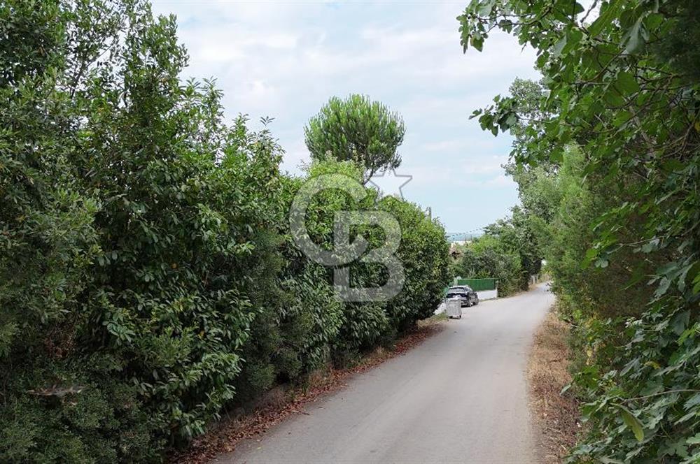 CB-TAN KARTEPE ŞİRİN SULHİYE'DE 5.252m2 SATILIK ÇİFTLİK