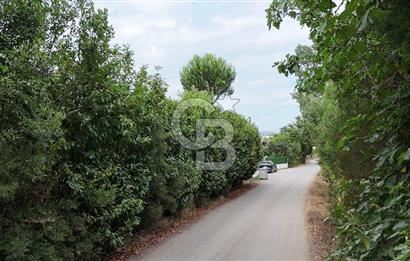 CB-TAN KARTEPE ŞİRİN SULHİYE'DE 5.252m2 SATILIK ÇİFTLİK