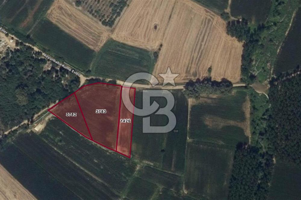 Kırklareli Merkez Koyunbaba Satılık 1.633 M2 Arazi