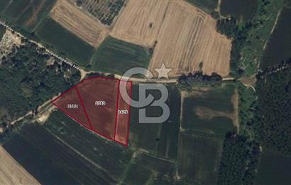 Kırklareli Merkez Koyunbaba Satılık 1.633 M2 Arazi