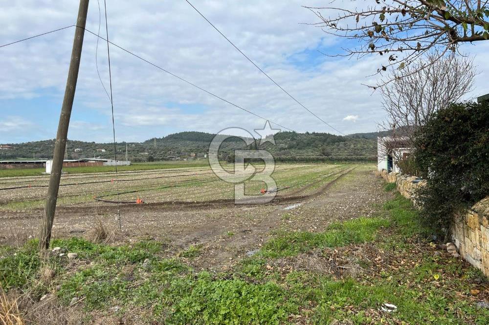 BUCA DOĞANCILARDA HAZIR EVİ BULUNAN SATILIK MÜSTAKİL VİLLA