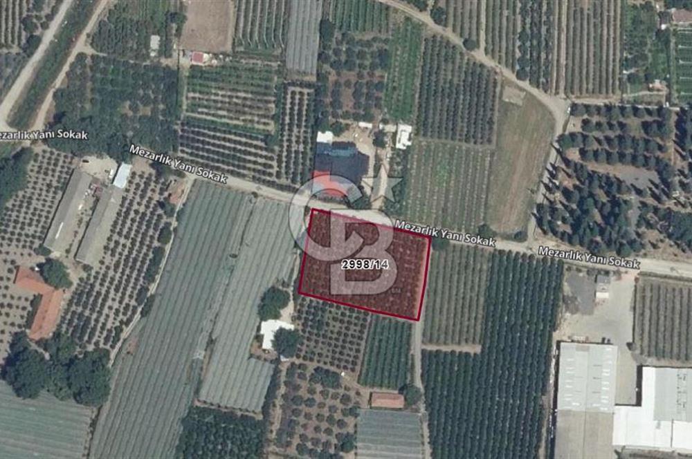ASFALT YOLA CEPHE KÖYE YAKIN YATIRIM DEĞERİ YÜKSEK ARAZİ