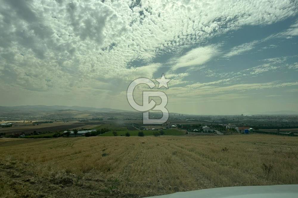 CB PREMIUM'DAN YATIRIMA UYGUN TEK TAPU TARLA