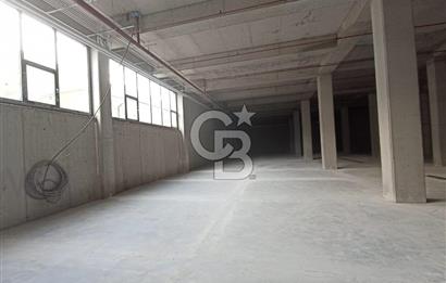 ŞAŞMAZ'DA 1024 M2 HER İŞE UYGUN FIRSAT DÜKKAN