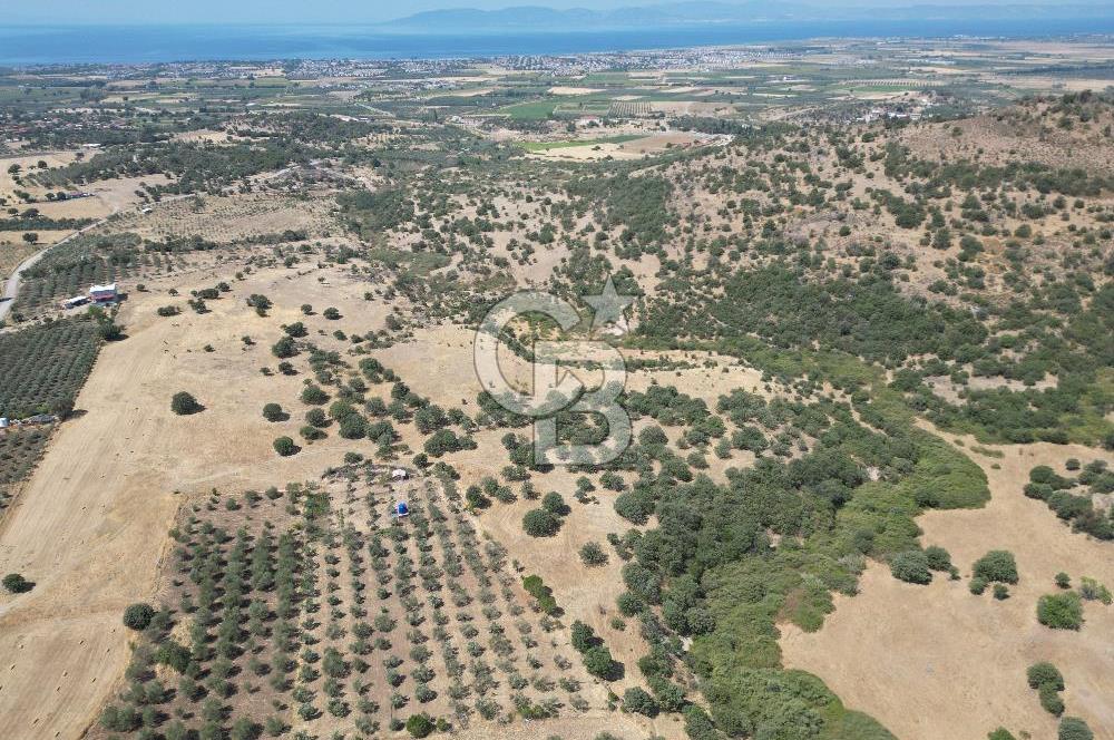 CB.ROUTE'DAN, DİKİLİ KIRATLIDA SATILIK 22 DÖNÜM TARLA