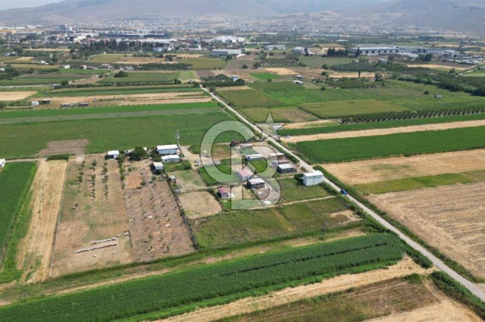 CB İYA'DAN MENEMEN TÜRKELLİ BURUNCUKTA SATILIK ARAZİ
