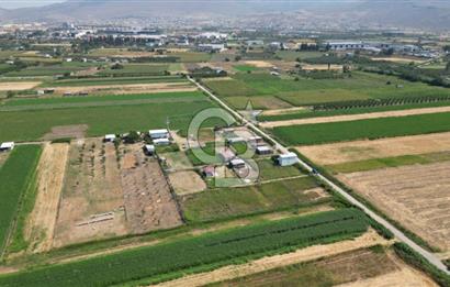 CB İYA'DAN MENEMEN TÜRKELLİ BURUNCUKTA SATILIK ARAZİ