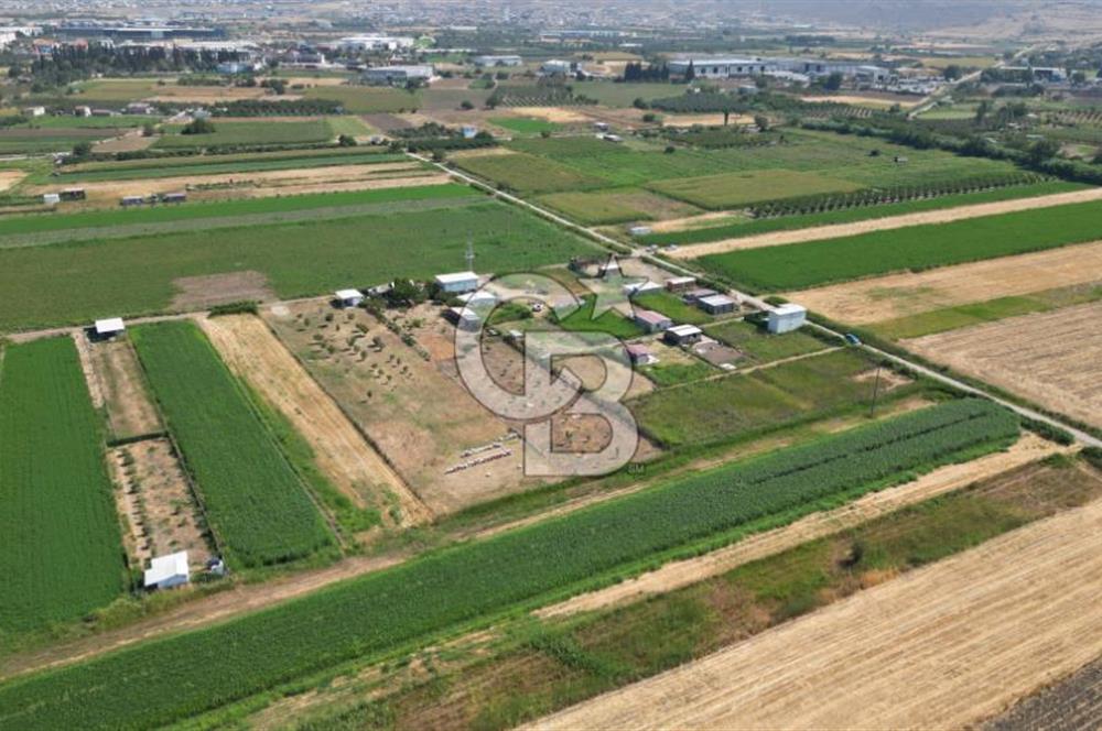 CB İYA'DAN MENEMEN TÜRKELLİ BURUNCUKTA SATILIK ARAZİ