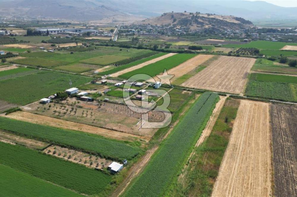 CB İYA'DAN MENEMEN TÜRKELLİ BURUNCUKTA SATILIK ARAZİ