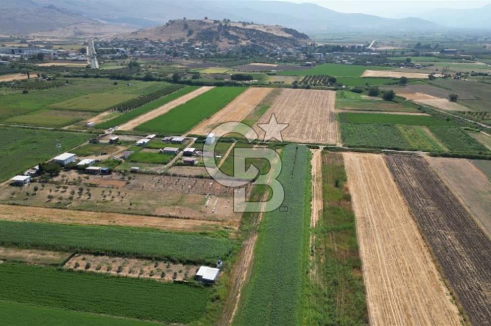CB İYA'DAN MENEMEN TÜRKELLİ BURUNCUKTA SATILIK ARAZİ
