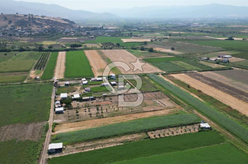 CB İYA'DAN MENEMEN TÜRKELLİ BURUNCUKTA SATILIK ARAZİ
