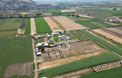 CB İYA'DAN MENEMEN TÜRKELLİ BURUNCUKTA SATILIK ARAZİ