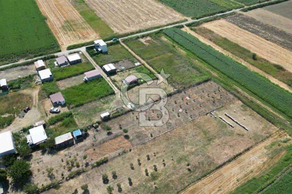 CB İYA'DAN MENEMEN TÜRKELLİ BURUNCUKTA SATILIK ARAZİ