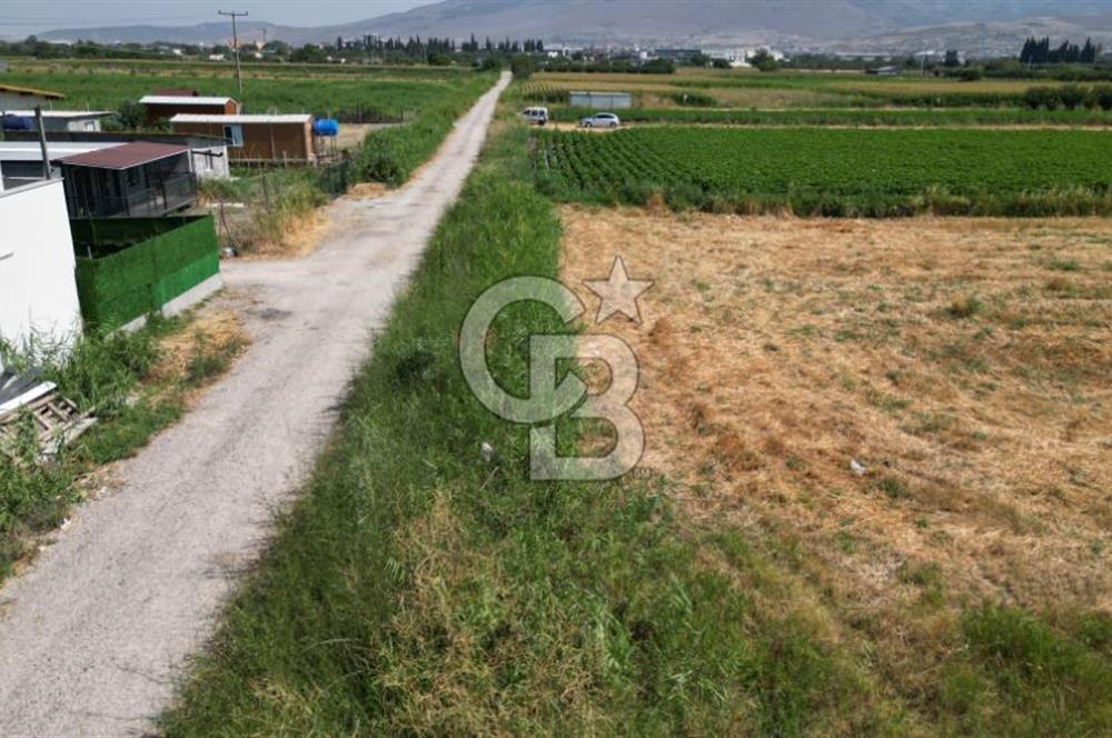 CB İYA'DAN MENEMEN TÜRKELLİ BURUNCUKTA SATILIK ARAZİ