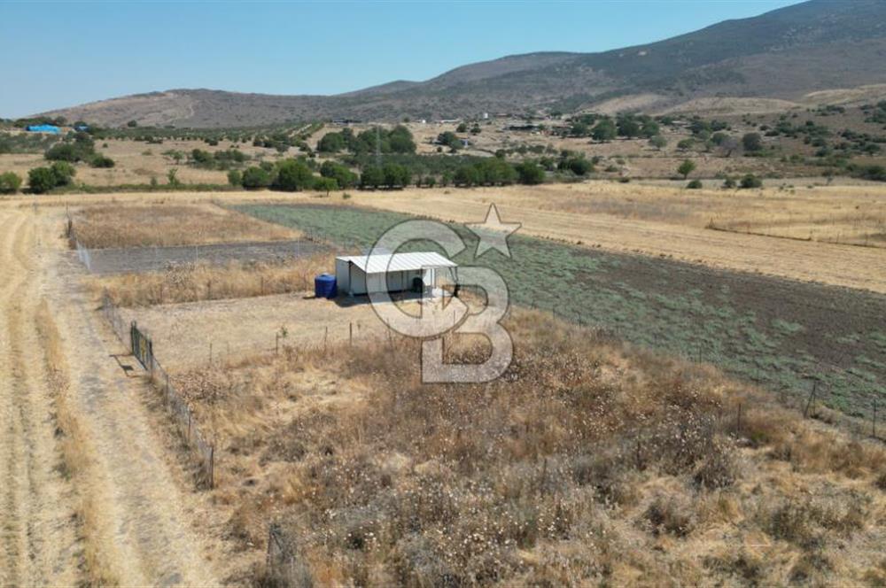 CB İYA'DAN ALİAĞA HELVACI DA SATILIK HOBİ BAHÇESİ