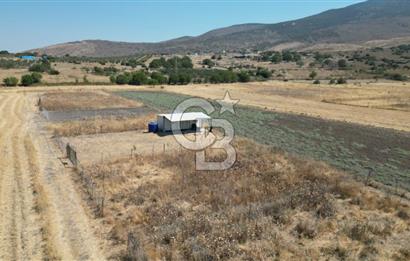 CB İYA'DAN ALİAĞA HELVACI DA SATILIK HOBİ BAHÇESİ