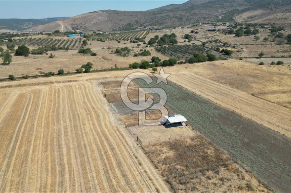 CB İYA'DAN ALİAĞA HELVACI DA SATILIK HOBİ BAHÇESİ