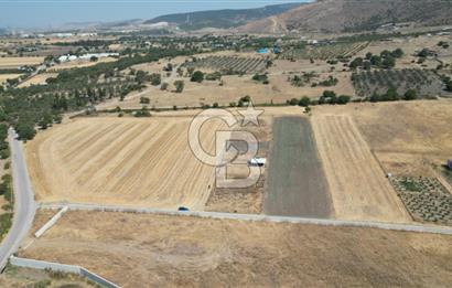 CB İYA'DAN ALİAĞA HELVACI DA SATILIK HOBİ BAHÇESİ