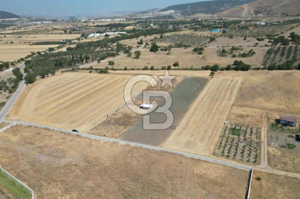 CB İYA'DAN ALİAĞA HELVACI DA SATILIK HOBİ BAHÇESİ