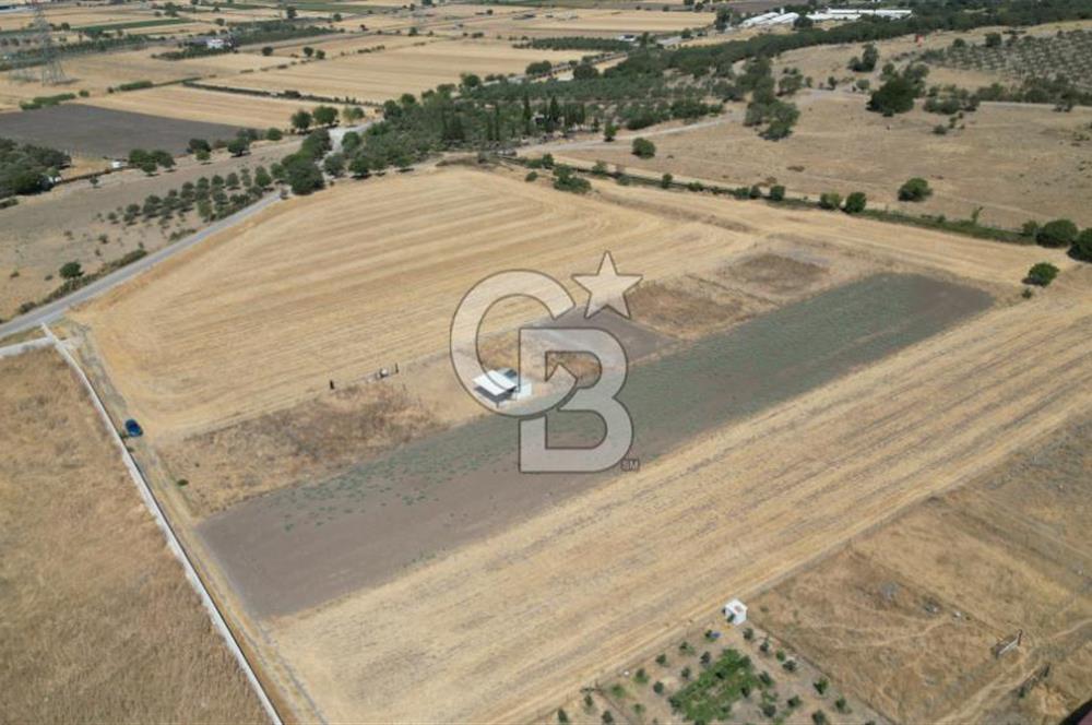 CB İYA'DAN ALİAĞA HELVACI DA SATILIK HOBİ BAHÇESİ