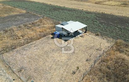 CB İYA'DAN ALİAĞA HELVACI DA SATILIK HOBİ BAHÇESİ