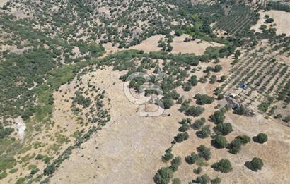 CB.ROUTE'DAN, DİKİLİ KIRATLIDA SATILIK 22 DÖNÜM TARLA