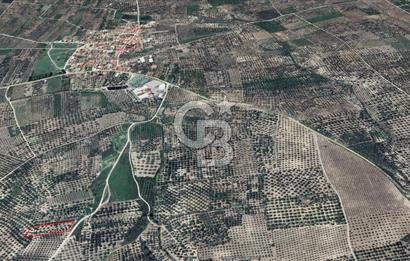 MANİSA AKHİSAR B.OSMANİYE’DE SATILIK TARLA