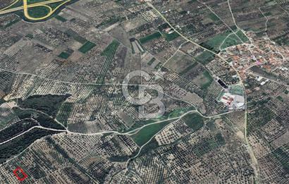 MANİSA AKHİSAR B.OSMANİYE SATILIK TARLA