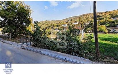Kandıra Yağcılar  Köyünde Yola Cepheli Satılık Konut İmarlı Arsa