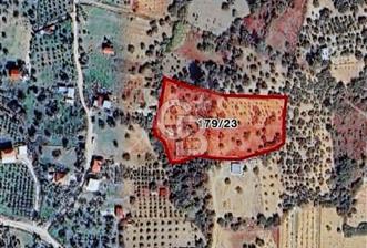 İzmir Torbalı Dağkızılcada 492 m2 Zeytinlik