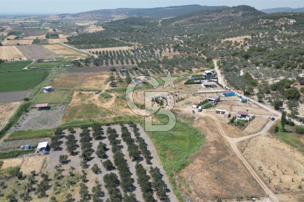 CB İYA'DAN ALİAĞA HELVACI DA SATILIK BÜYÜK PARSEL HOBİ BAHÇESİ