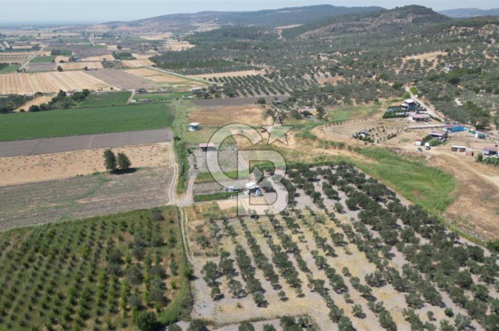CB İYA'DAN ALİAĞA HELVACI DA SATILIK BÜYÜK PARSEL HOBİ BAHÇESİ