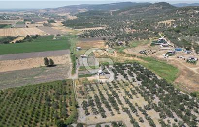 CB İYA'DAN ALİAĞA HELVACI DA SATILIK BÜYÜK PARSEL HOBİ BAHÇESİ
