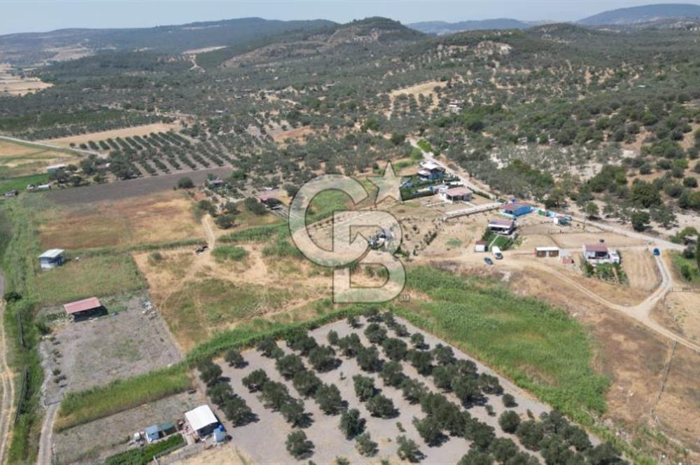 CB İYA'DAN ALİAĞA HELVACI DA SATILIK BÜYÜK PARSEL HOBİ BAHÇESİ