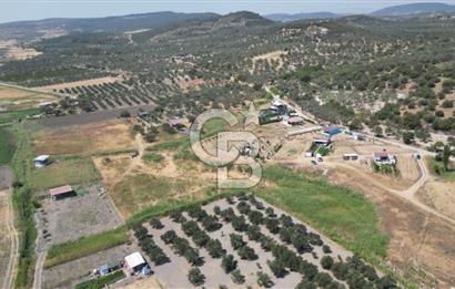 CB İYA'DAN ALİAĞA HELVACI DA SATILIK BÜYÜK PARSEL HOBİ BAHÇESİ