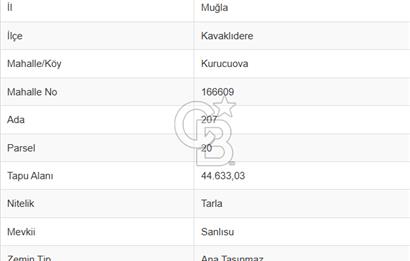 Muğla Kavaklıdere'de Doğa Harikası Arsa!