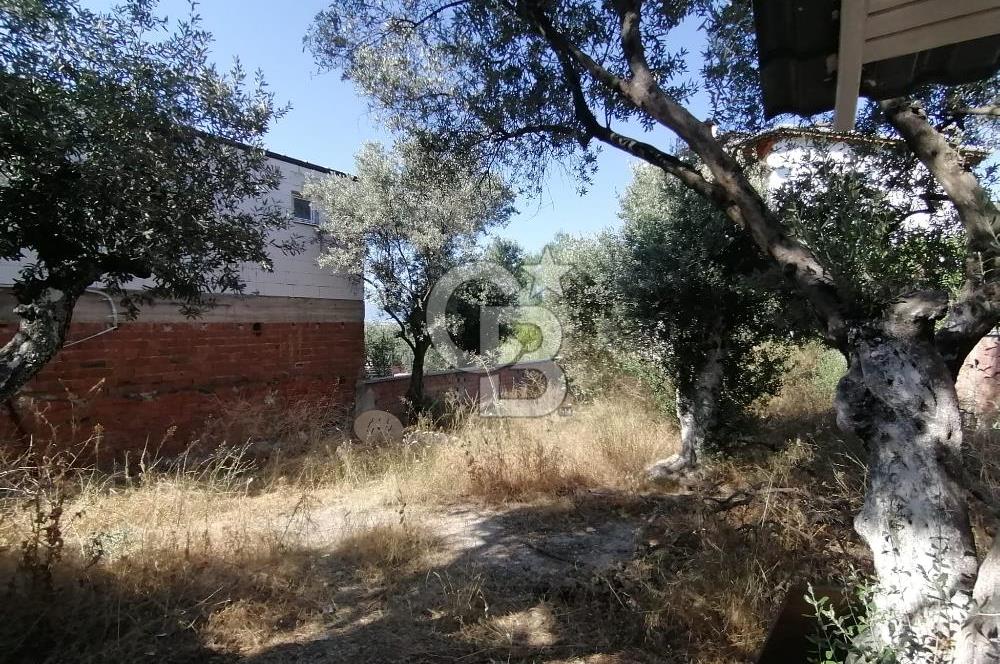 GEMLİK KURŞUNLU MAHALLESİ'NDE SATILIK VİLLA İMARLI ARSA
