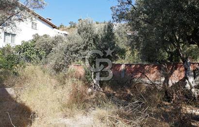 GEMLİK KURŞUNLU MAHALLESİ'NDE SATILIK VİLLA İMARLI ARSA