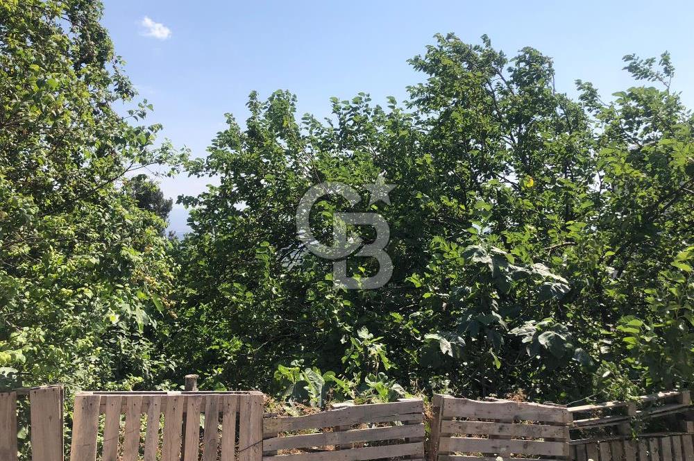 GÜNDOĞDU MAHALLESİ'NDE SATILIK KÖY İÇİ İMARLI ARSA