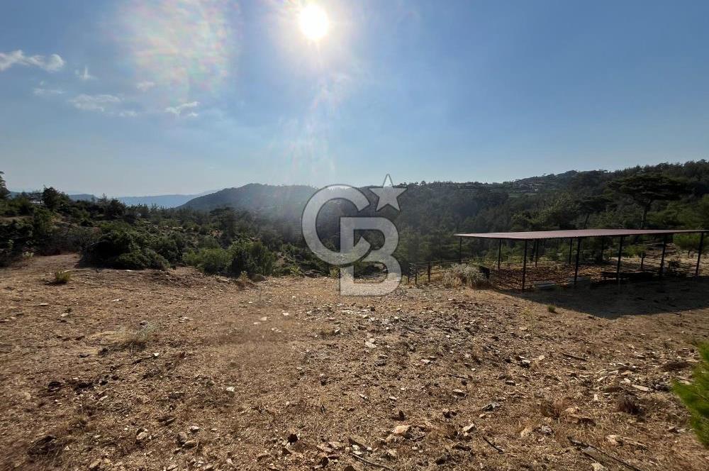 Muğla Kavaklıdere'de Doğa Harikası Arsa!