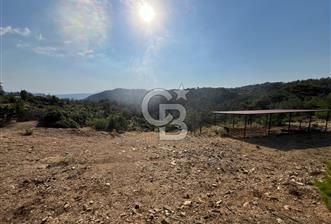 Muğla Kavaklıdere'de Doğa Harikası Arsa!